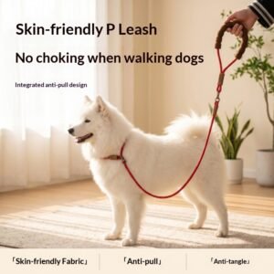 Integrated Slip Rope Leash for Dogs – Safe Anti-Choking & Escape-Proof Design, Tangle-Free Training Leash with Soft Foam Grip